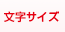 文字サイズ